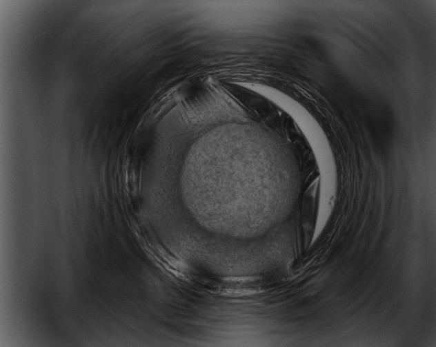 X0000052640380200507160203