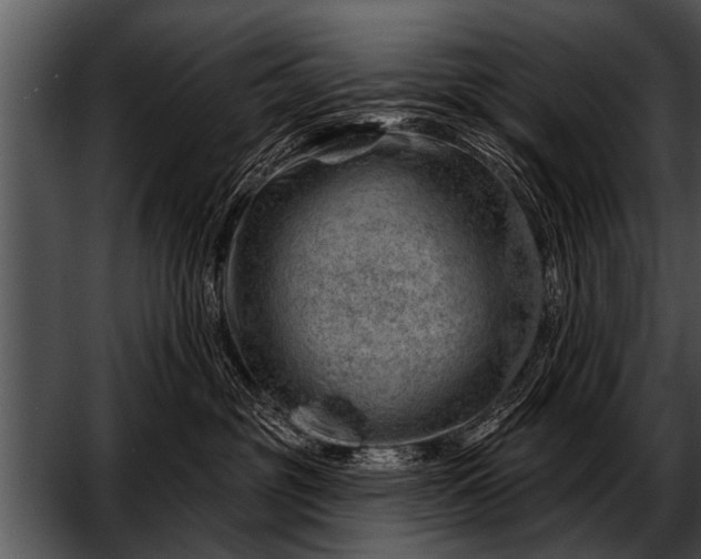 X0000052640381200507160203