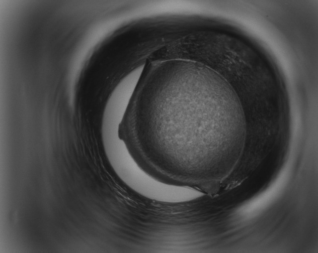 X0000052640382200507160203