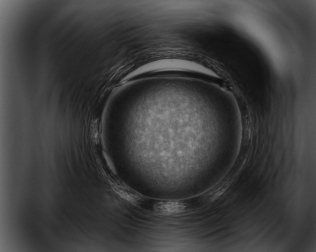 X0000052640383200507160203