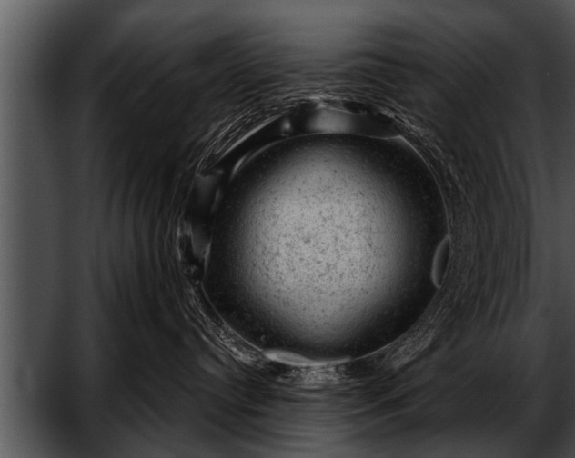 X0000052640384200507160203