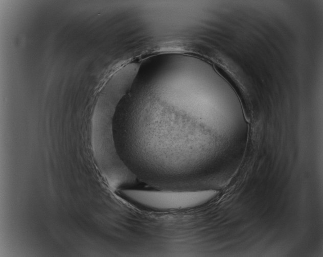 X0000052640385200507160202