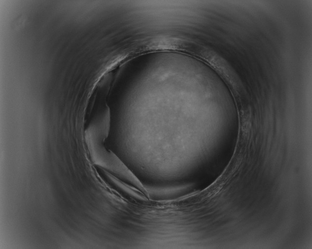 X0000052640386200507160202