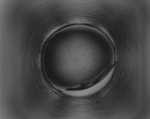 X0000052640387200507160202