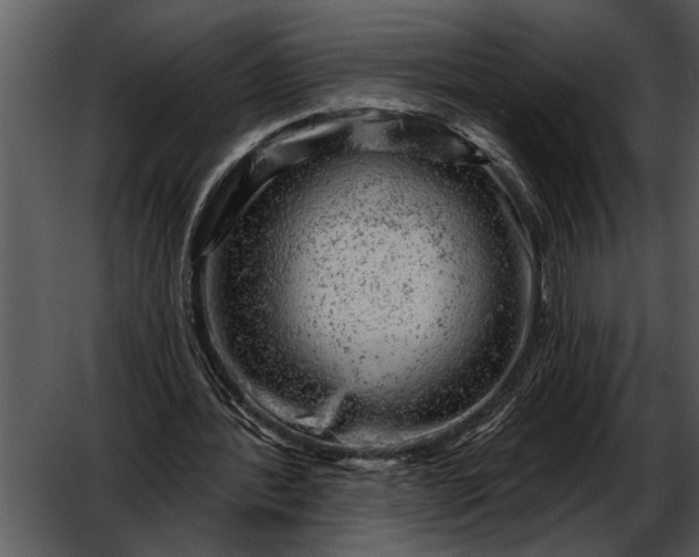 X0000052640388200507160202