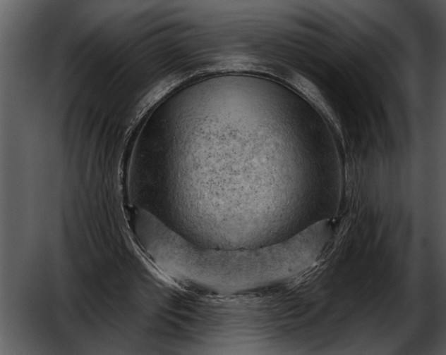 X0000052640389200507160202