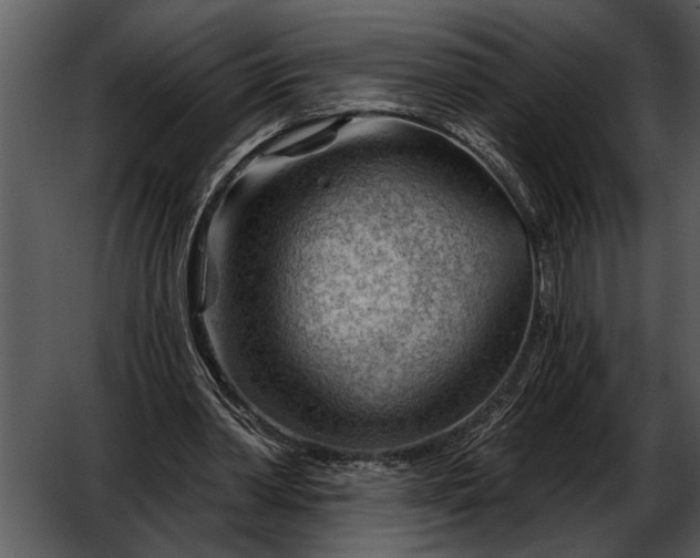 X0000052640390200507160202