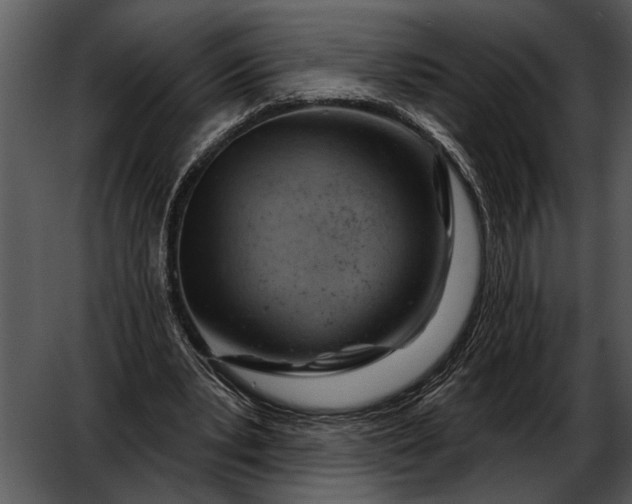 X0000052640391200507160202