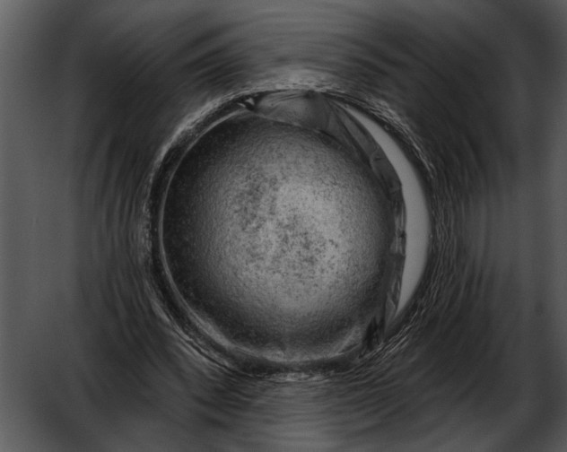 X0000052640392200507160202