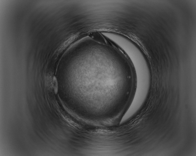 X0000052640393200507160202