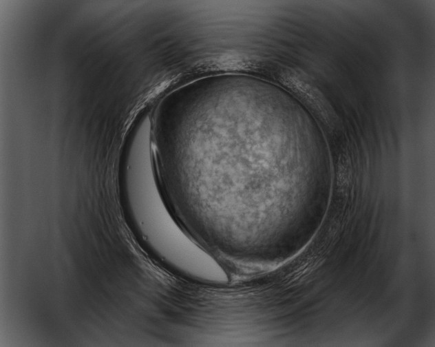 X0000052640394200507160202