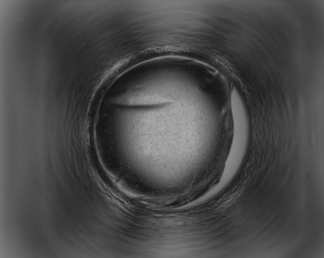 X0000052640395200507160202