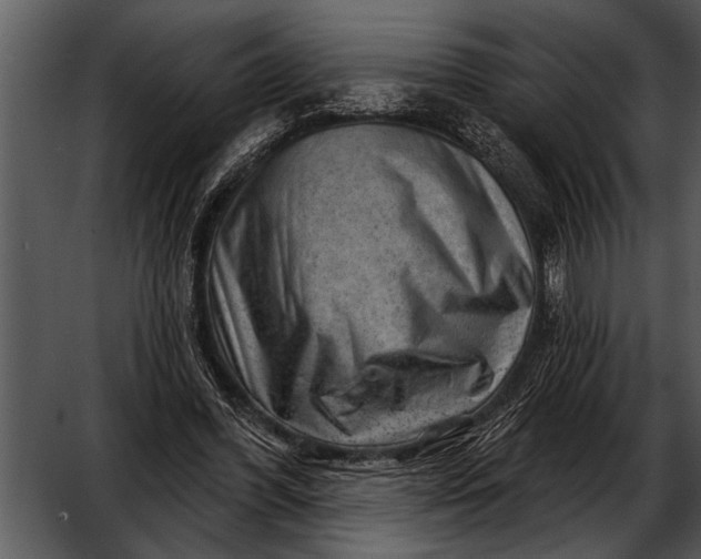 X0000052640396200507160202