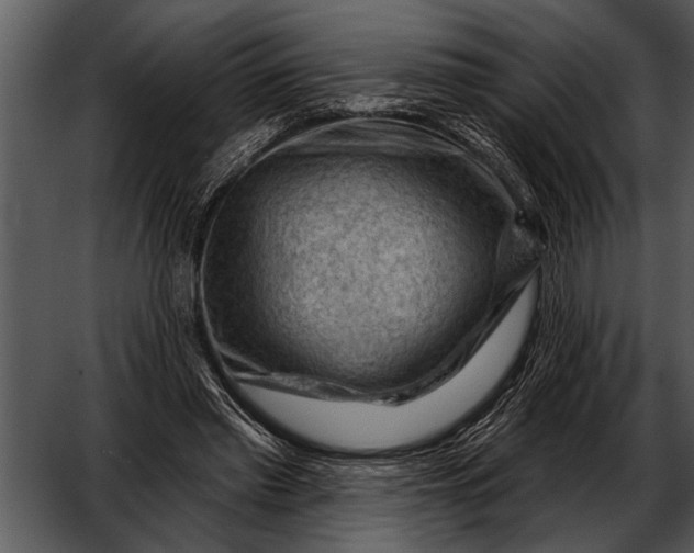 X0000052640397200507160202