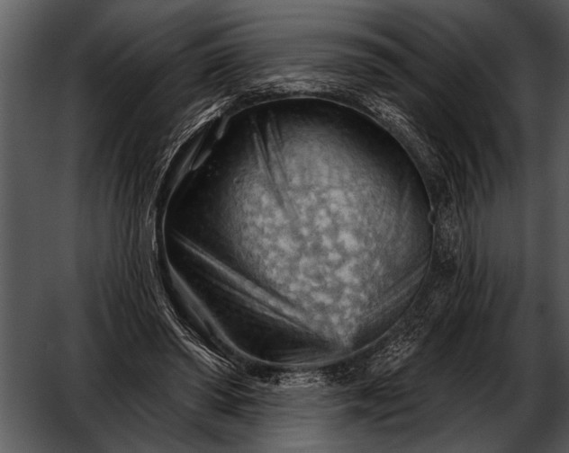 X0000052640398200507160202