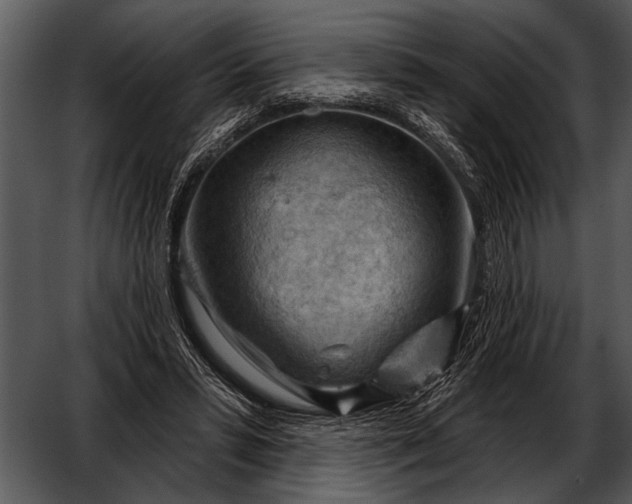 X0000052640399200507160202