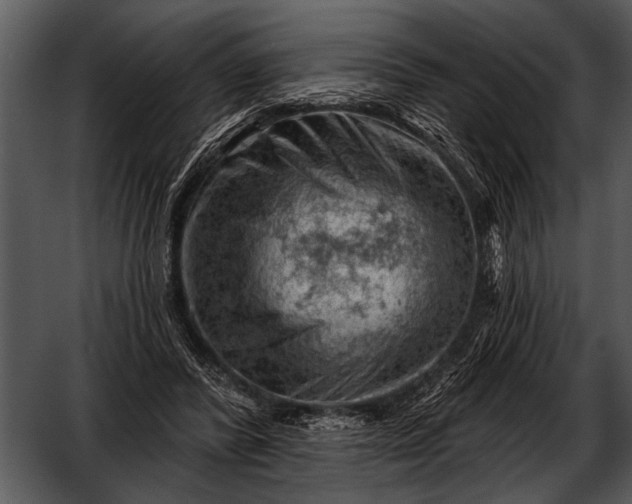 X0000052640400200507160202