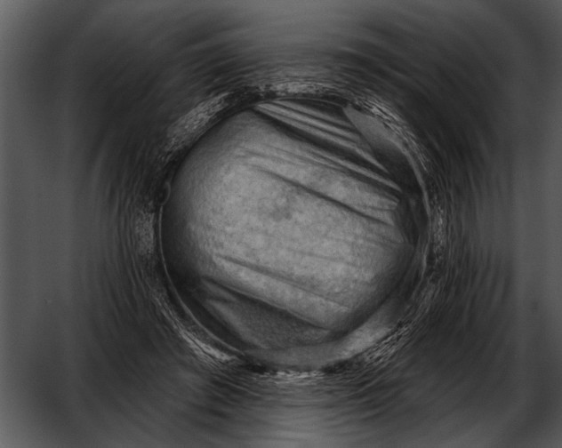 X0000052640401200507160202