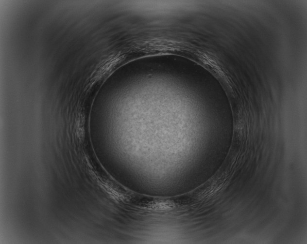 X0000052640402200507160202