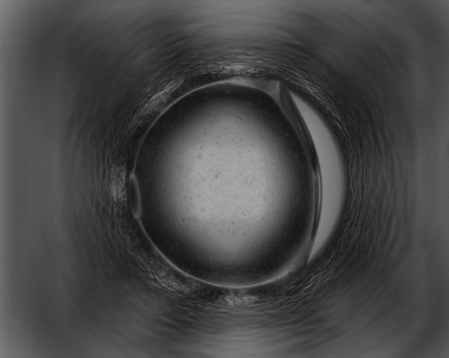 X0000052640403200507160202