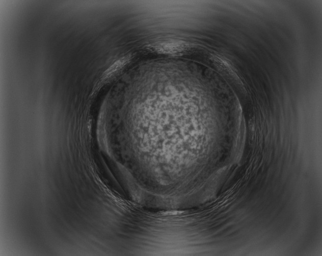 X0000052640404200507160202