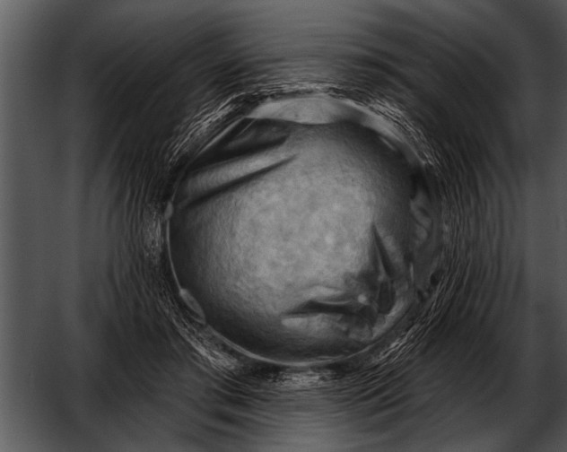 X0000052640405200507160202