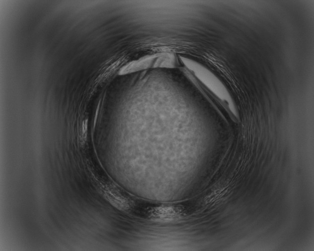 X0000052640406200507160202