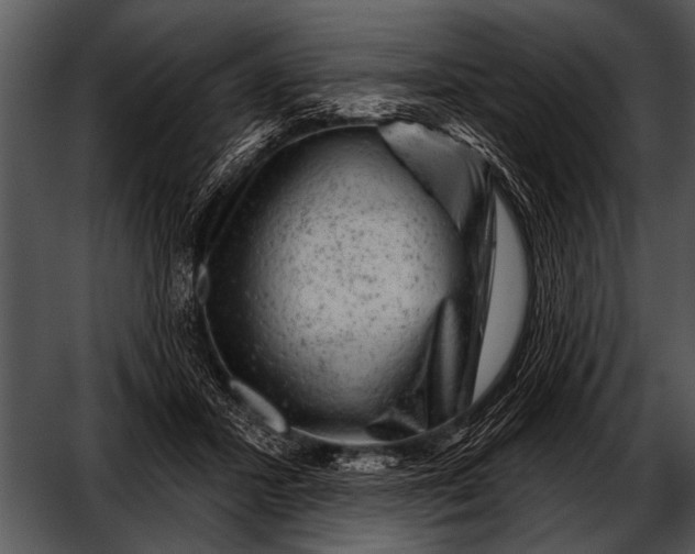 X0000052640407200507160202