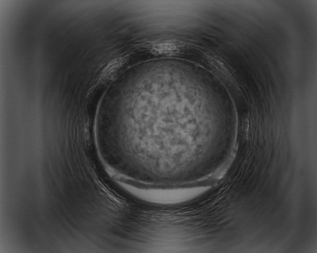 X0000052640408200507160202