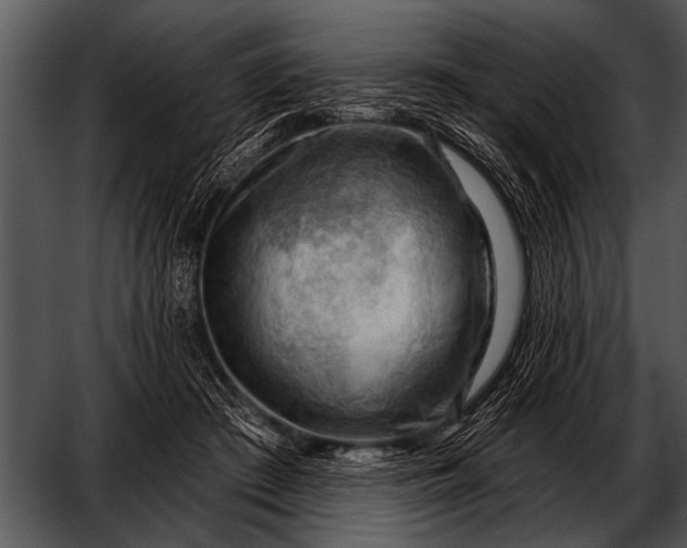 X0000052640409200507160202