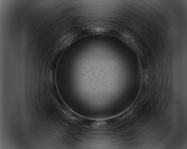 X0000052640410200507160202