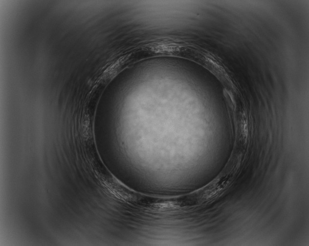 X0000052640411200507160202