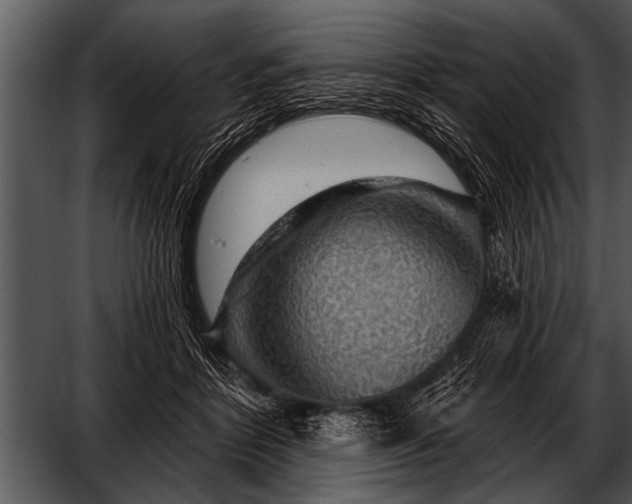 X0000052640412200507160202