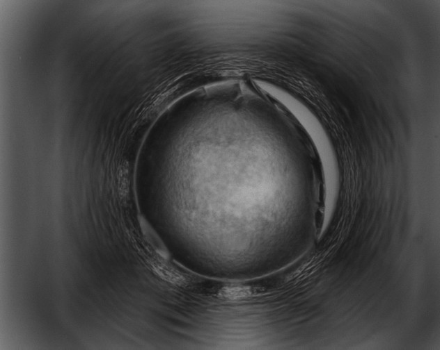 X0000052640413200507160202