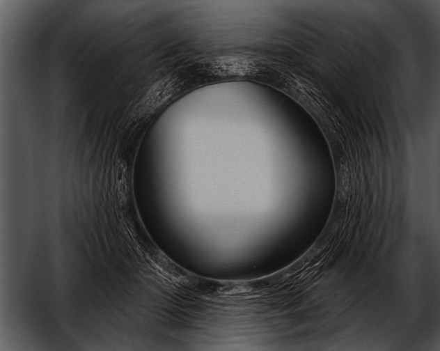 X0000052640414200507160202