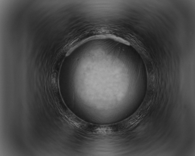 X0000052640415200507160202