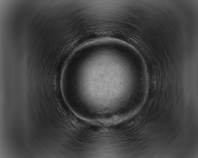 X0000052640416200507160202