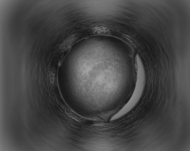 X0000052640417200507160202