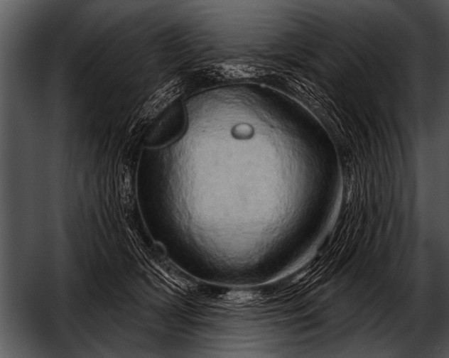 X0000052640418200507160202