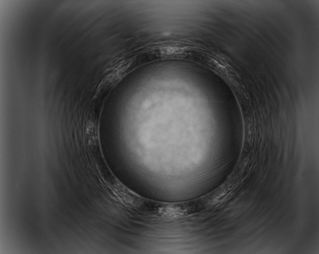 X0000052640419200507160202