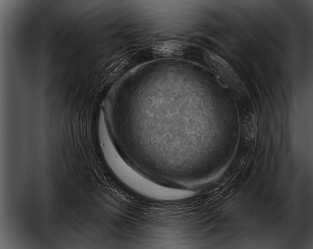 X0000052640420200507160202