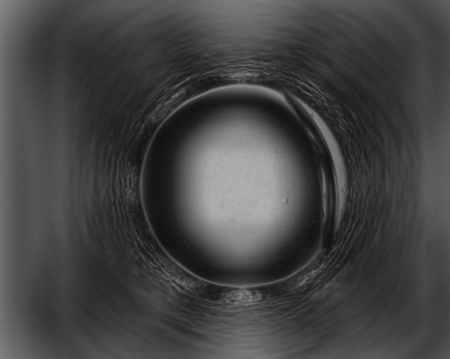 X0000052640421200507160202