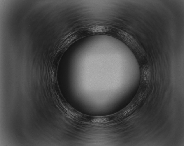 X0000052640422200507160202