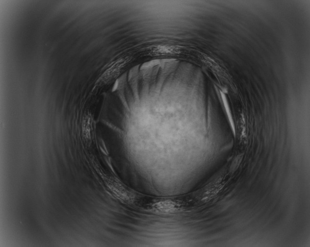 X0000052640423200507160202