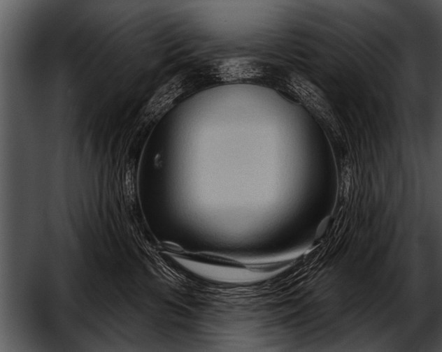 X0000052640426200507160202