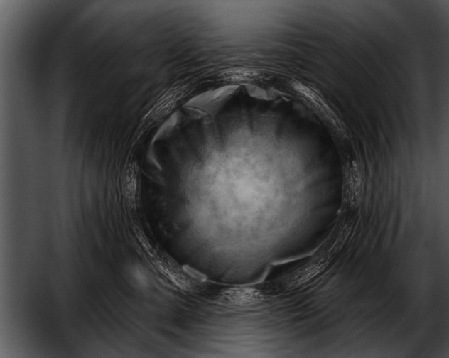 X0000052640427200507160202