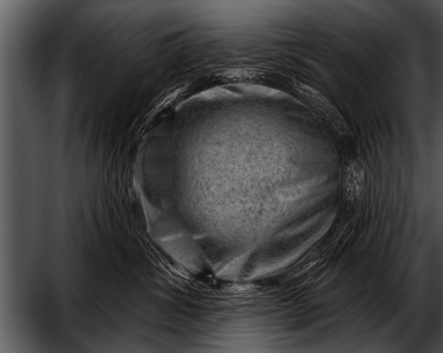 X0000052640428200507160202