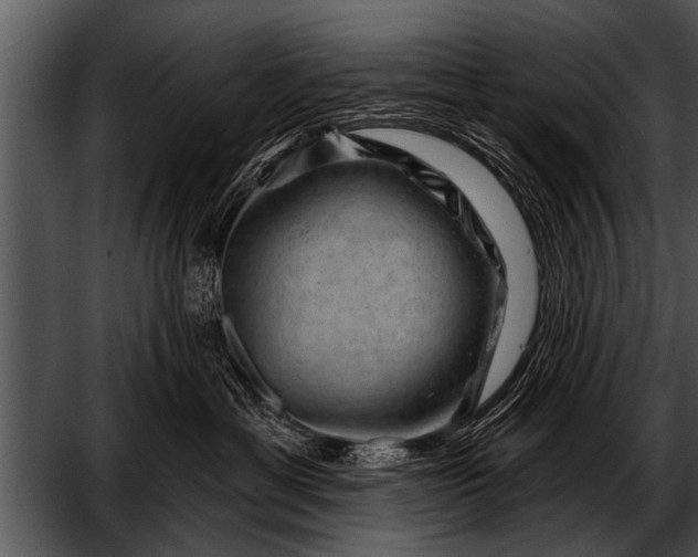 X0000052640429200507160202