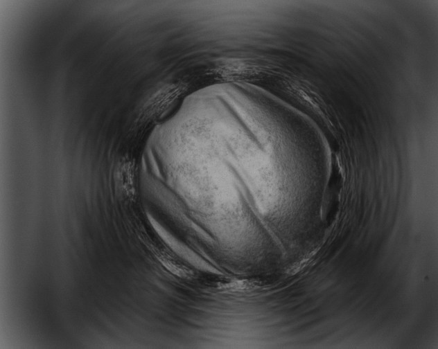 X0000052640430200507160202