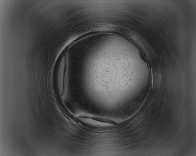 X0000052640435200507160201